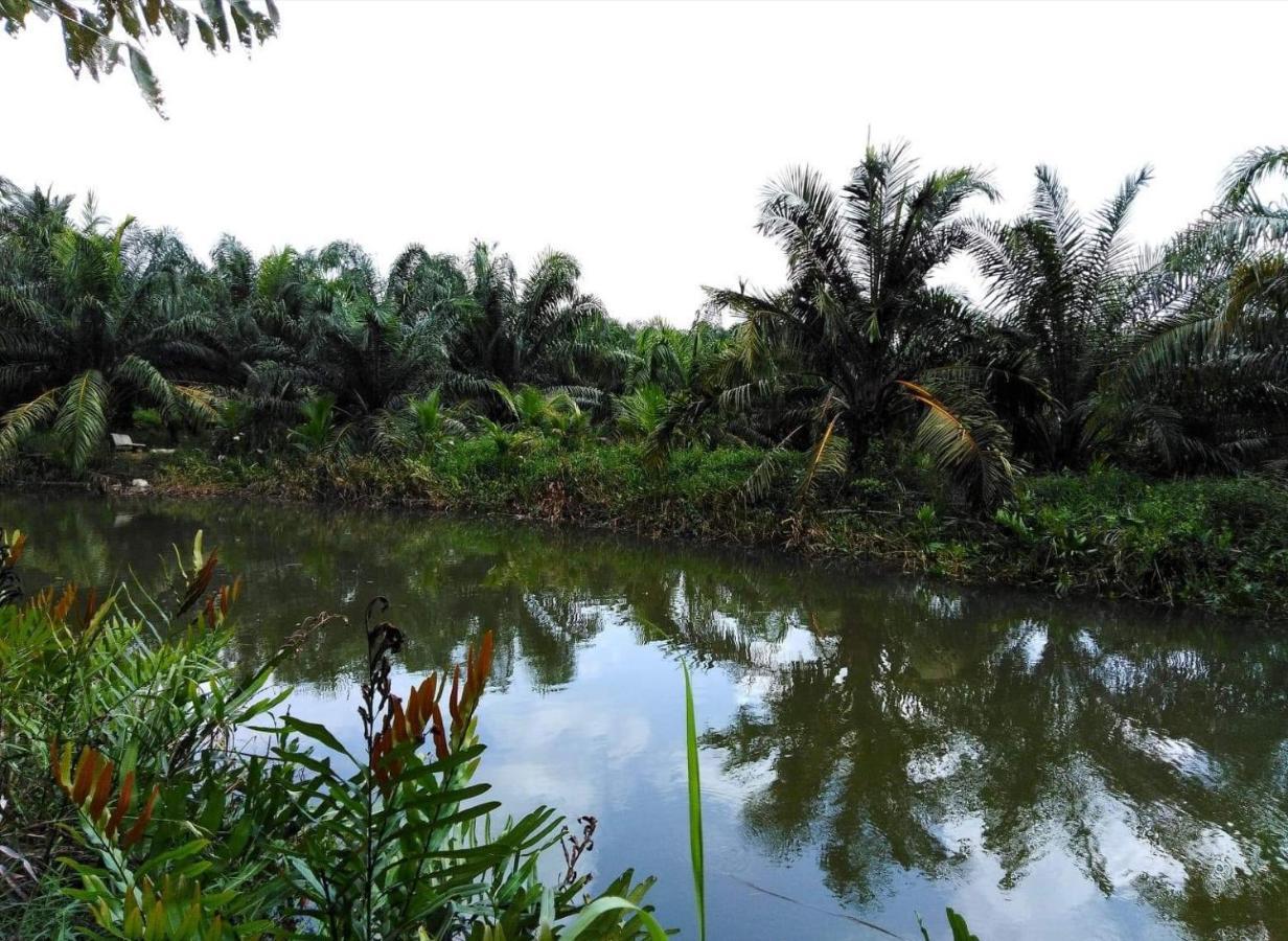 Krasom Homestay Phang Nga Eksteriør billede