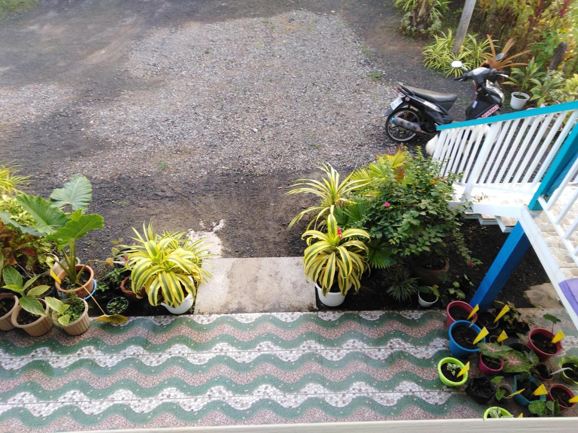 Krasom Homestay Phang Nga Værelse billede